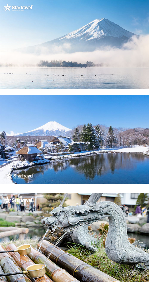 Ngày 04: MT. FUJI - TOKYO  (Ăn sáng, trưa, tối)