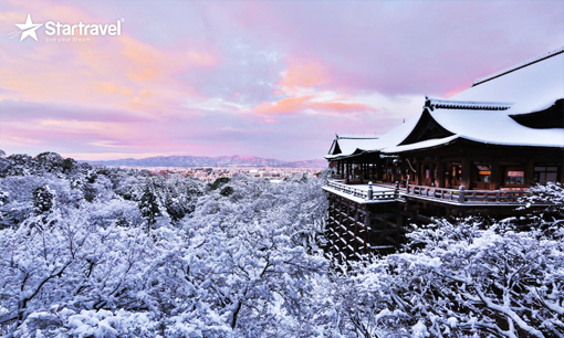 Ngày 04: TOYOTA CITY – KYOTO - OSAKA (Ăn sáng, trưa, tối)