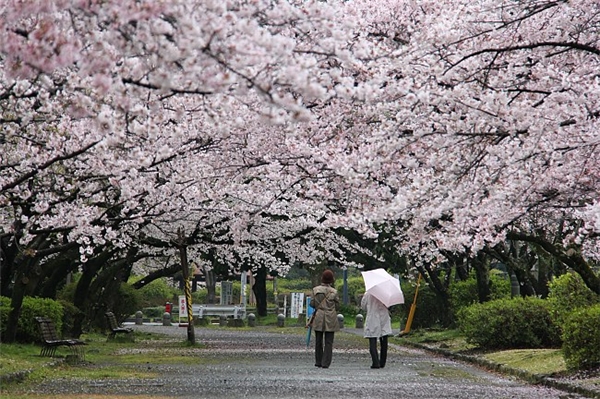Ngày 4: Fukuoka, Nhật Bản
