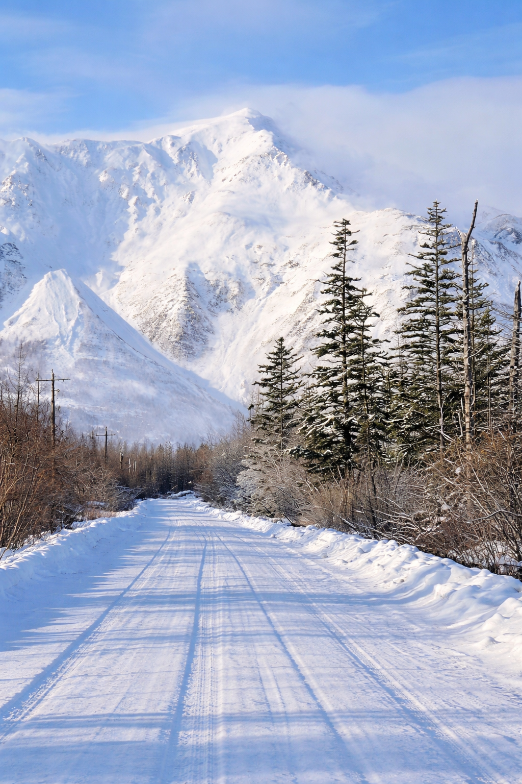 Ngày 3: SEATTLE → ANCHORAGE → SEWARD (ALASKA)