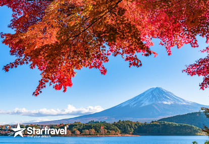 Ngắm sắc thu vàng Trung - Nhật cùng siêu du thuyền Spectrum of the Seas