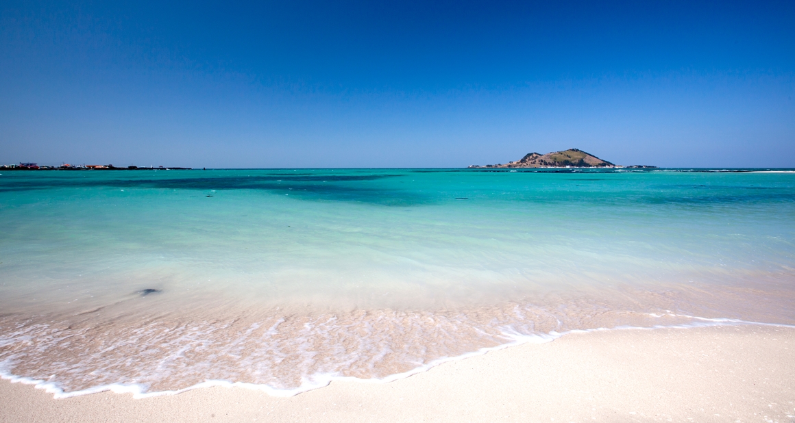 Ngày 2: Jeju (Seogwipo), Hàn Quốc – Mùa Hoa Xuân & Hoa Anh Đào Muộn