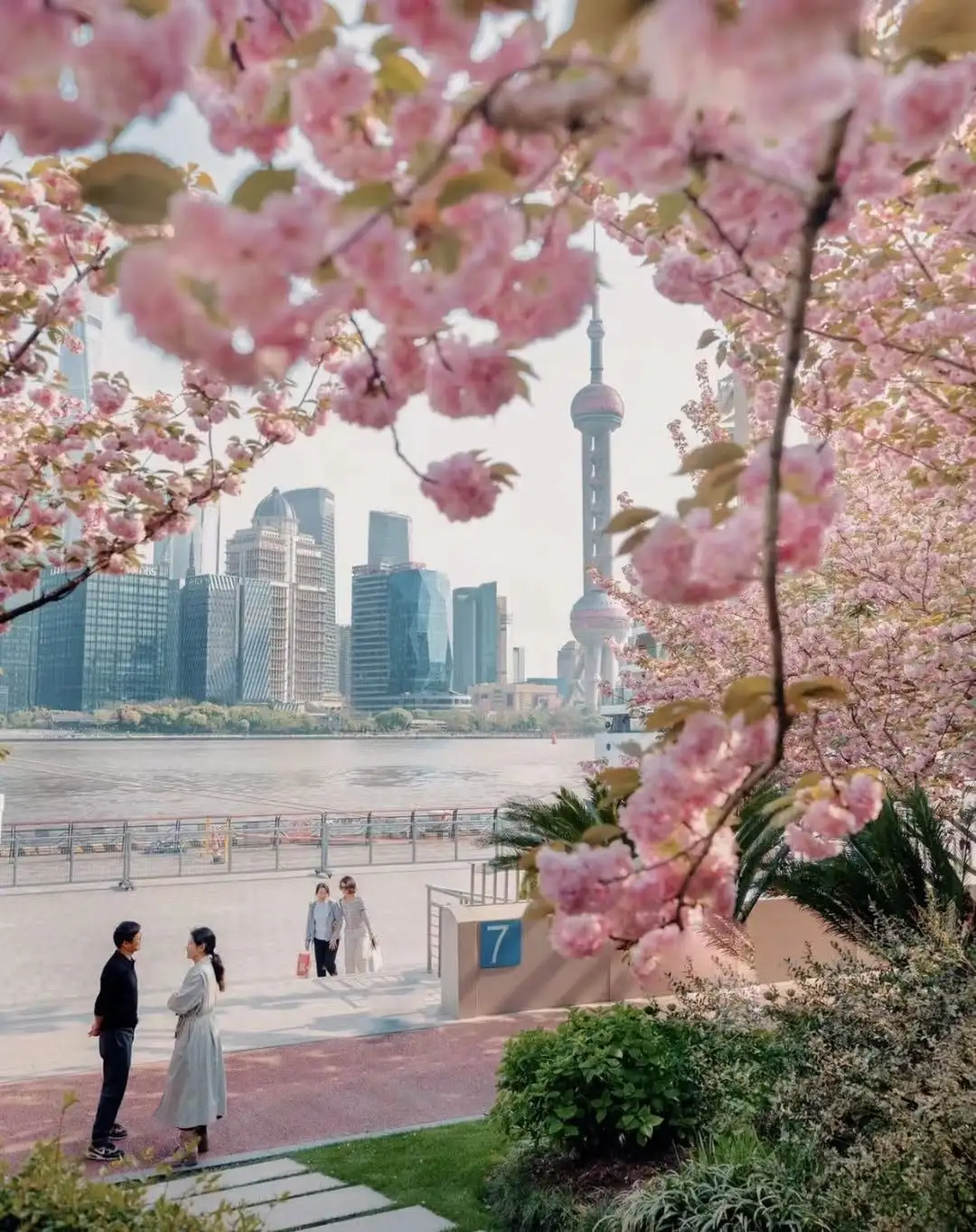 Ngày 1: Tp. Hồ Chí Minh – Thượng Hải | Trung Quốc