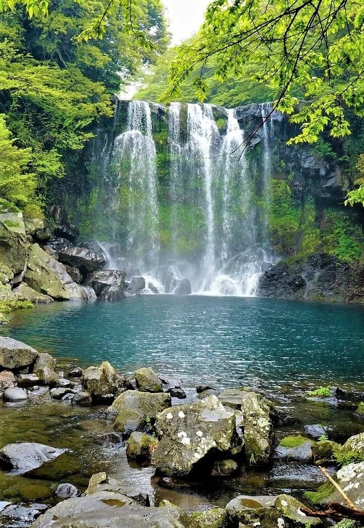 Ngày 5: Tham quan Jeju | Hàn Quốc