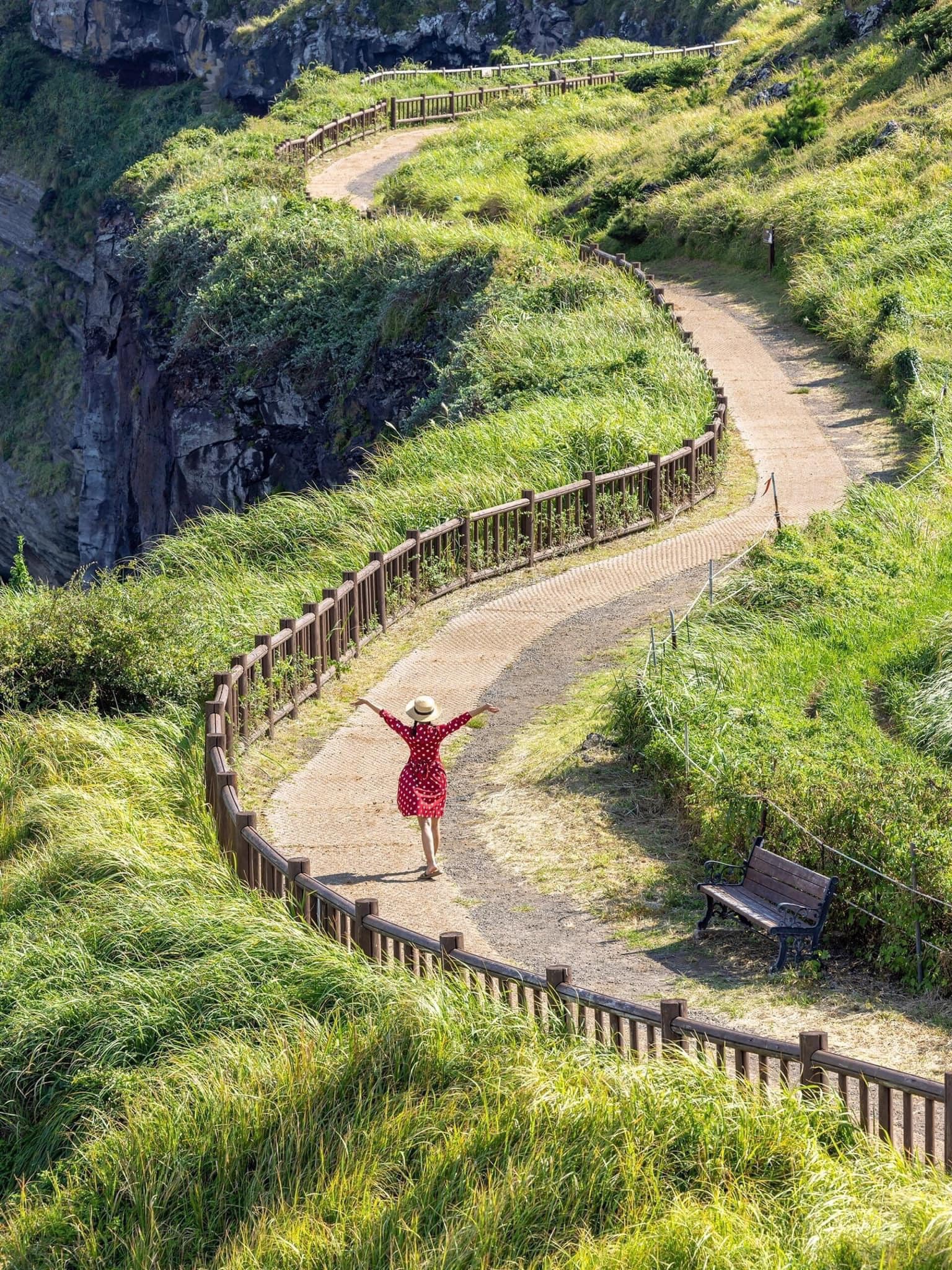 Ngày 3: Jeju (Seogwipo) – Giao mùa Thu & Trải nghiệm hái quýt