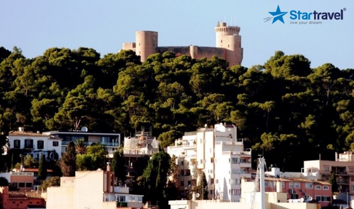 Ngày 7: MALLORCA (TÂY BAN NHA) │THỊ TRẤN SOLLER