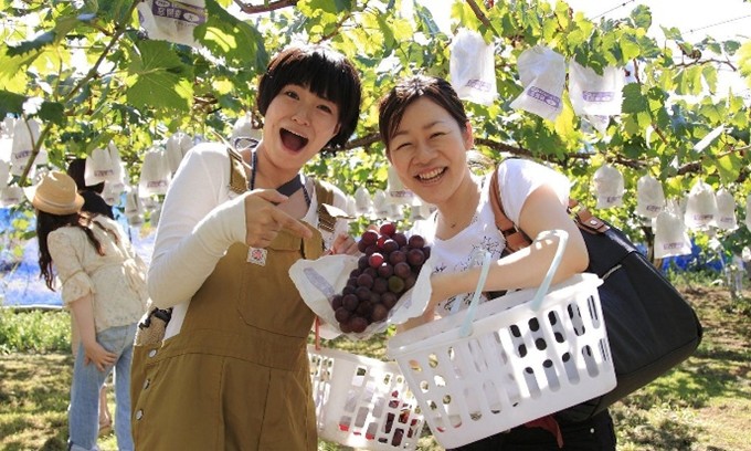 Ngày 3: Kumamoto| Nhật Bản