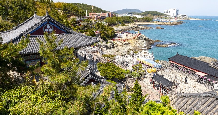 Ngày 4: Busan | Hàn Quốc