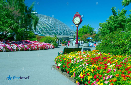 Ngày 6: City Tour Vancouver