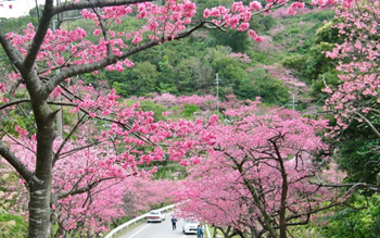 Ngày 2: THAM QUAN NAHA | OKINAWA | NHẬT BẢN 