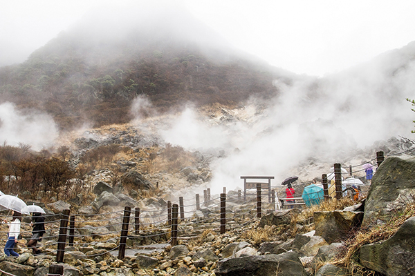 Ngày 02: TOKYO  – HAKONE – FUJI (Ăn sáng trên máy bay, trưa, tối) 