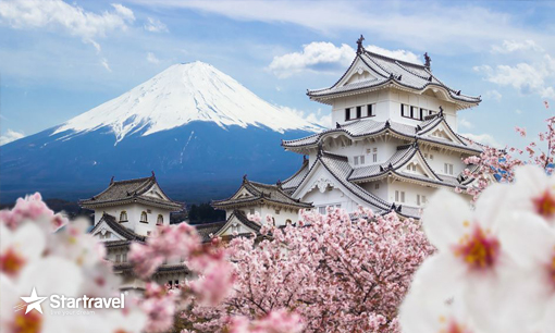 Ngày 5: Kobe, Osaka - Nhật Bản