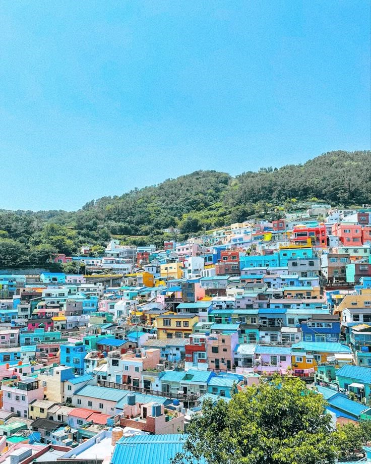 Ngày 3: Busan, Hàn Quốc