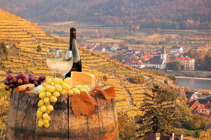 Ngày 8: Melk - Thung lũng Wachau, Áo