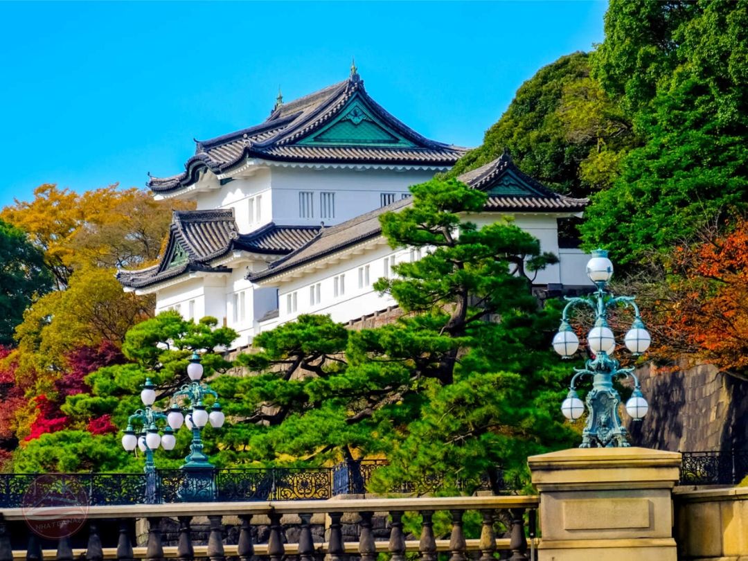 Ngày 2: Tokyo – Du Thuyền