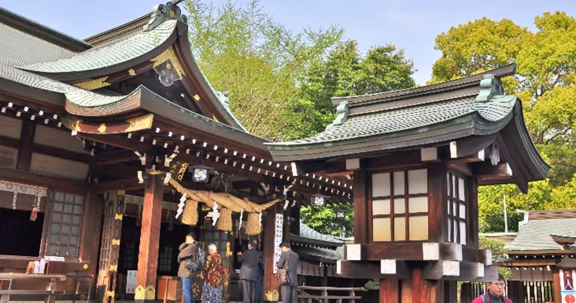 Ngày 5: KUMAMOTO, NHẬT BẢN