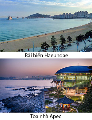 Ngày 05: THÀNH PHỐ CẢNG BUSAN (Ăn: S/T/T)