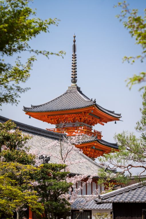 NGÀY 3 | MT. FUJI (SHIMIZU), JAPAN 