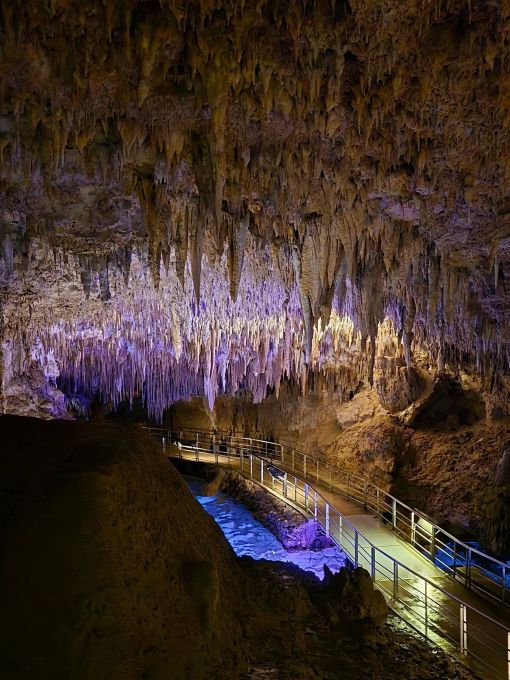 NGÀY 5: OKINAWA – NGÀY ĐẦU TIÊN CỦA NĂM MỚI