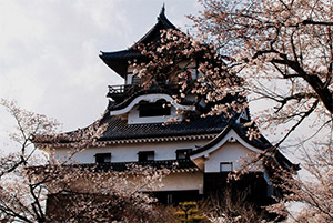 Ngày 07: NAGOYA, NHẬT BẢN (Ăn: S/T/T)