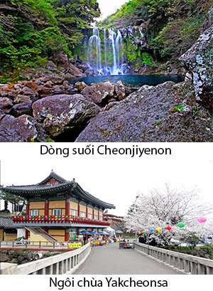 Ngày 04: ĐẢO JEJU, HÀN QUỐC (Ăn: phục vụ 24/24 trên du thuyền)