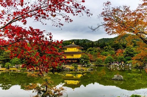 Ngày 05: Kyoto, Nhật Bản  