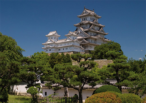 Ngày 04: Kumamoto, Nhật Bản