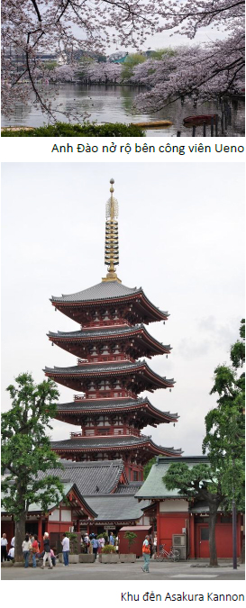Ngày 2: TOKYO, NHẬT BẢN - DU THUYỀN (Ăn: S/T/T)