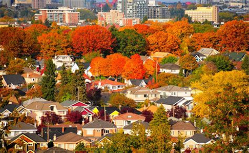 Ngày 08: BERGEN, NAUY (ăn: sáng, trưa, tối)