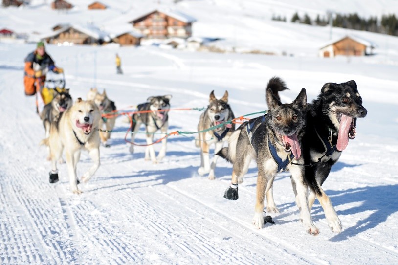 Ngày 6: SKAGWAY, ALASKA, HOA KỲ
