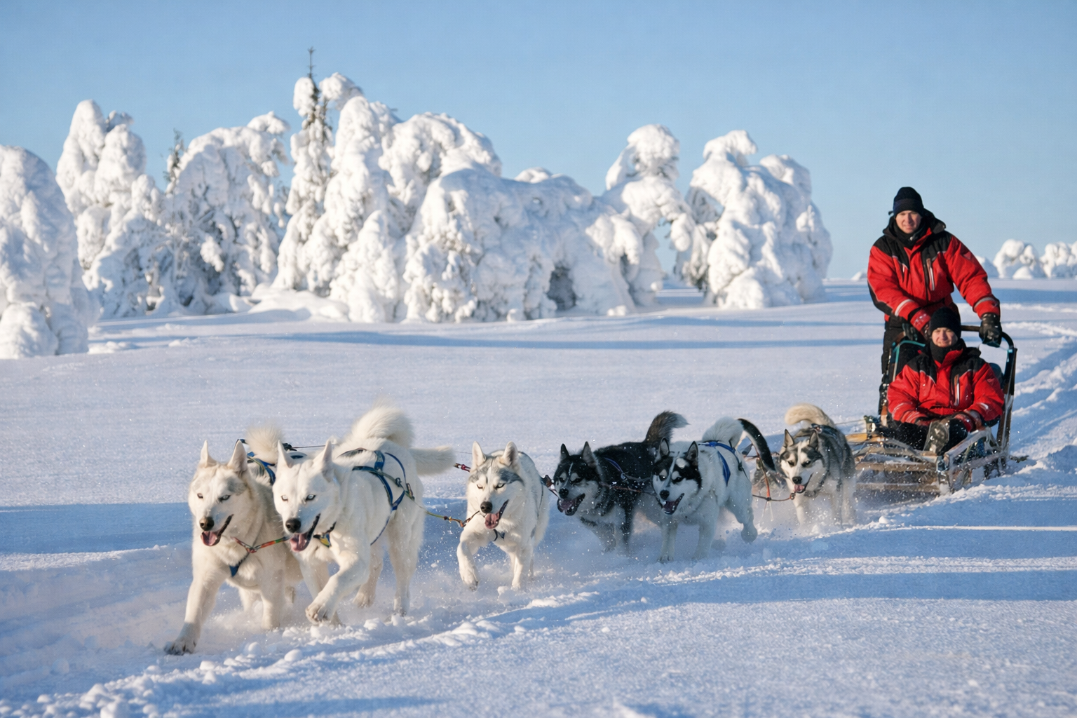 Ngày 6: Skagway – Dấu ấn lịch sử cơn sốt vàng Klondike
