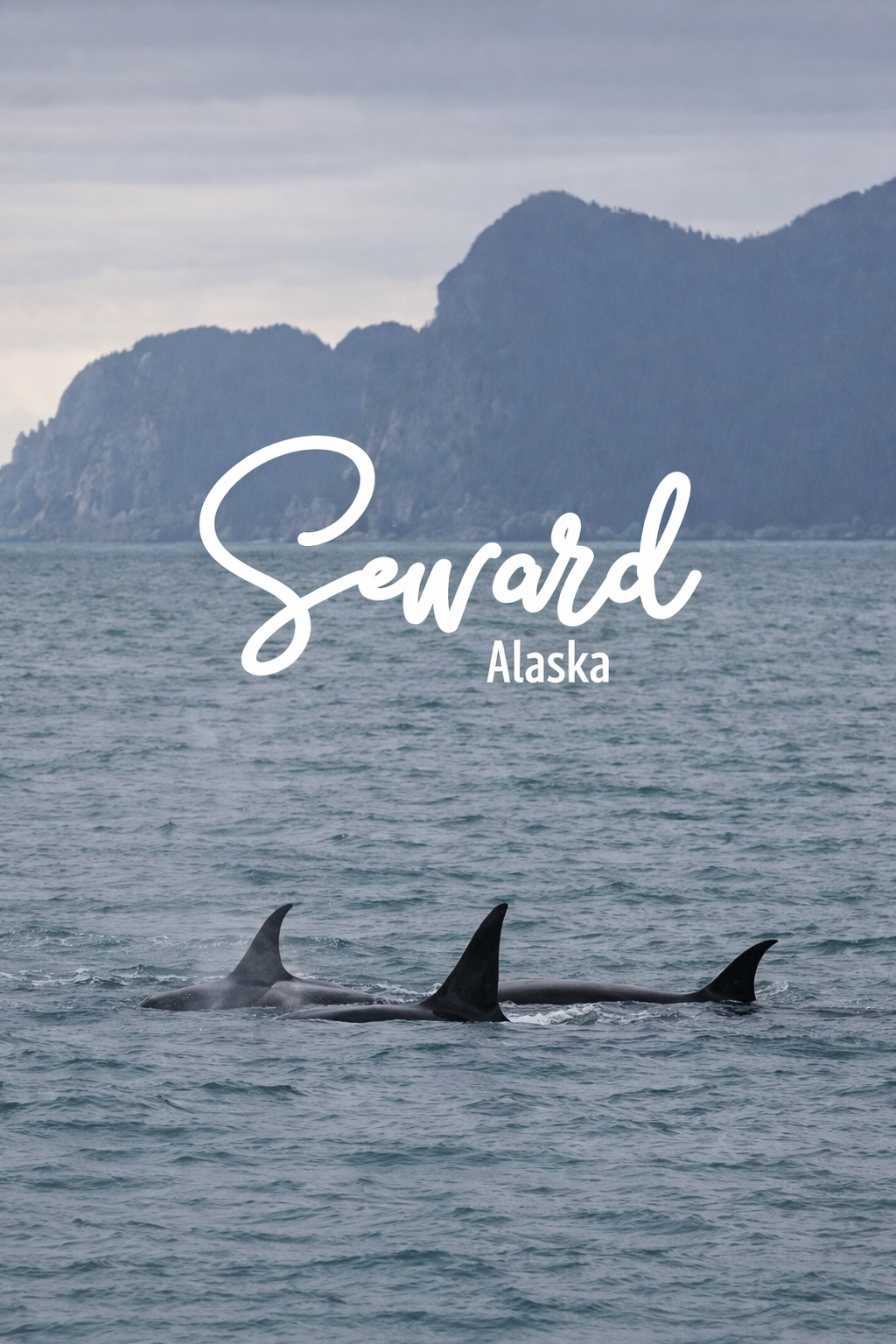 Ngày 8: Seward – Kết thúc hải trình Alaska