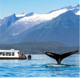 Ngày 5: Sitka – Nơi giao thoa văn hóa & thiên nhiên Alaska