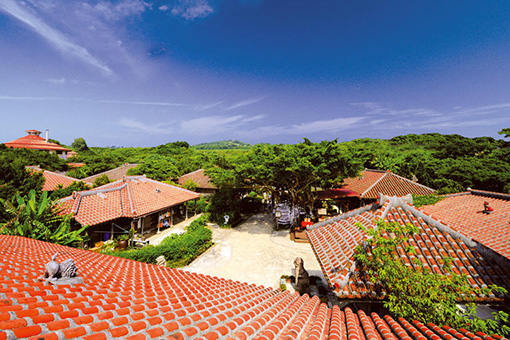 Ngày 3: Okinawa, Nhật Bản