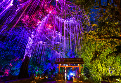 Du thuyền 5 sao khám phá Singapore - Malaysia - Thái Lan