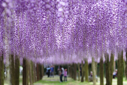Ngày 04: Fukuoka, Nhật Bản