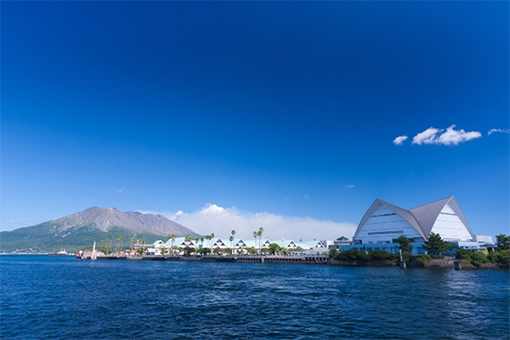 Ngày 05: THÀNH PHỐ KAGOSHIMA, NHẬT BẢN 