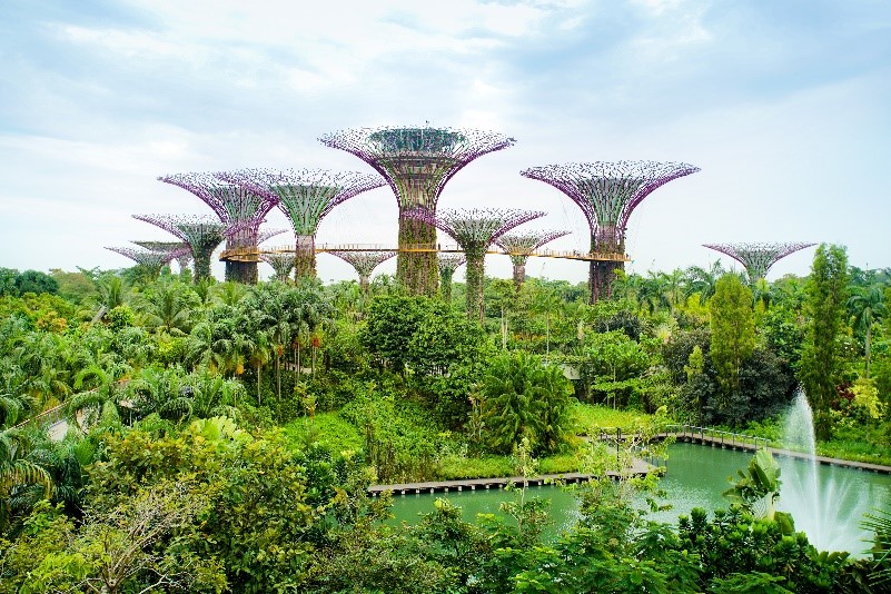 Ngày 4: SINGAPORE – HÀ NỘI