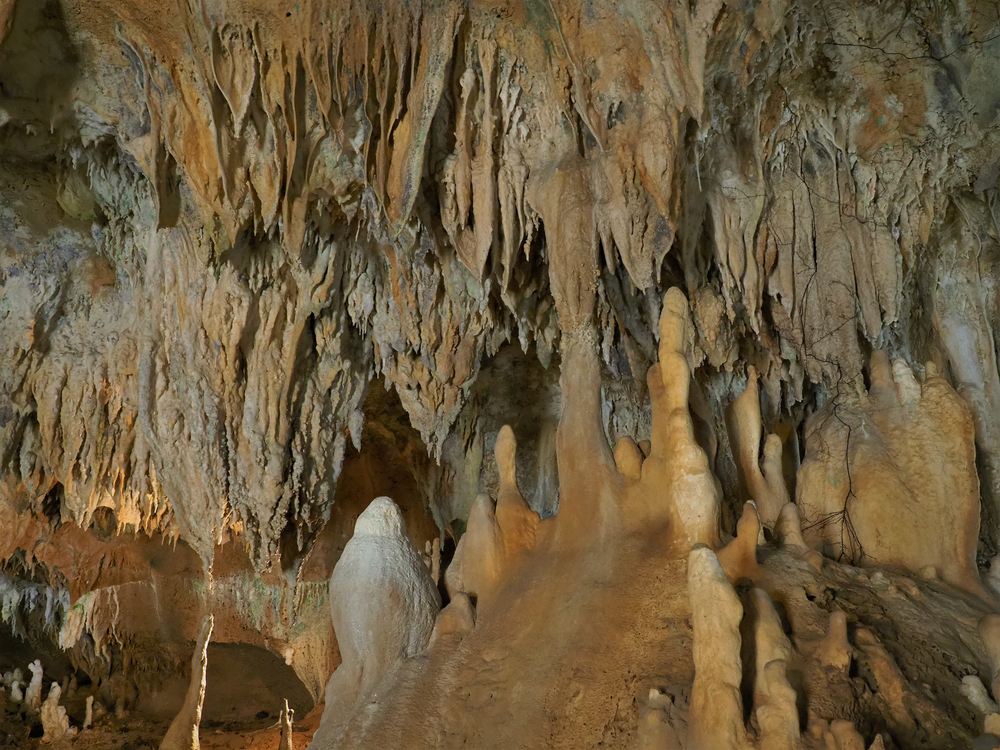 Ngày 6: Ishigaki - Nhật Bản