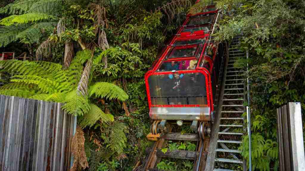 Ngày 7: Blue Mountains – Scenic World | Trải nghiệm thiên nhiên đẳng cấp của New South Wales