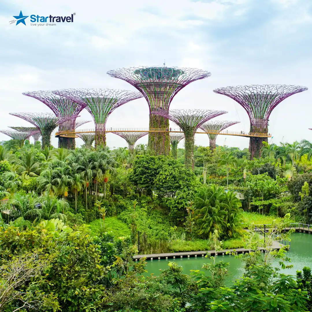 Đông Nam Á lung linh sắc màu Giáng sinh  | Singapore - Malaysia - Thái Lan