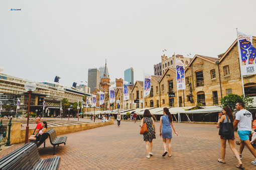 Ngày 7: Sydney - Wollongong - Vịnh Jarvis