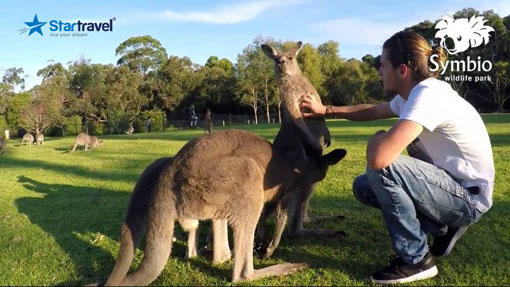 Ngày 7: Sydney - Wollongong - Vịnh Jarvis