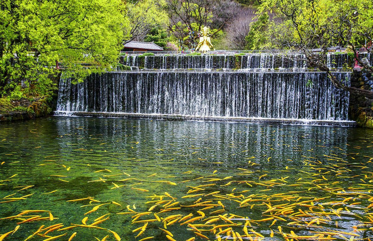 Ngày 3: Lệ Giang - Shangrila