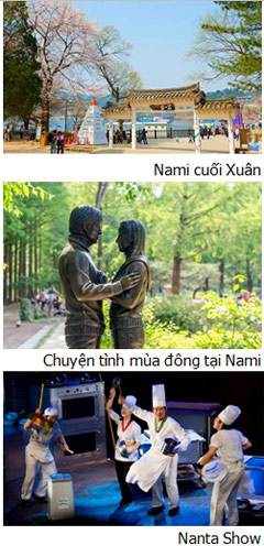 Ngày 11: SEOUL - NAMI (Ăn: Sáng, Trưa, Tối)