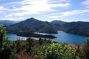 Ngày 08: Picton, New Zealand 