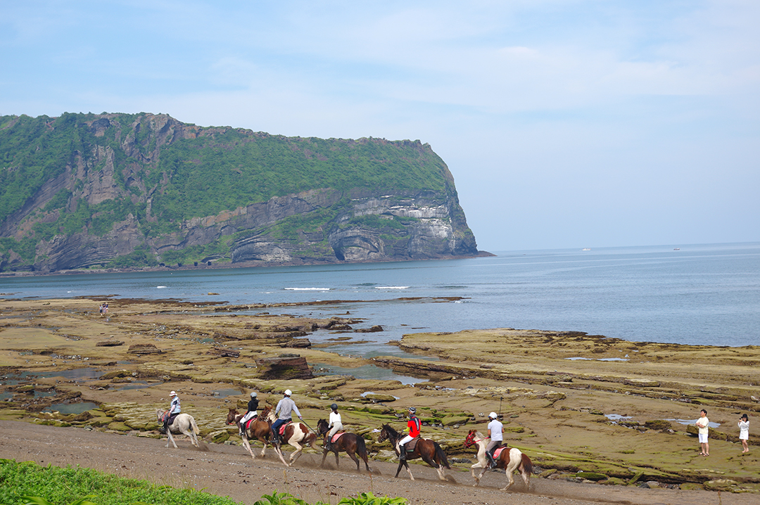 Ngày 2: Jeju (Seogwipo) – Trải nghiệm Jeju mùa hè (Family Summer Program)
