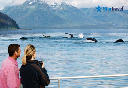 Lên du thuyền 5 sao Ovation of the Seas ngắm cá voi Alaska