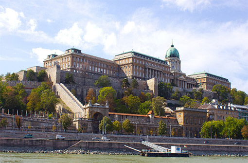 Ngày 11: Đến Tp. Hồ Chí Minh