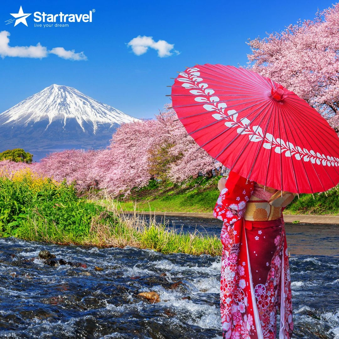 Du lịch du thuyền | Đông Bắc Á | Trung Quốc - Nhật Bản